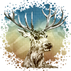 Hirsch