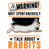 Rabbit Bunny Rabbit Rabbit