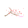 Sakura Branch Leaves