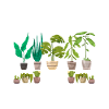 Hobby Gardener Garden Sister