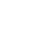 AR10 Sturmgewehr - 308 Win - DMR