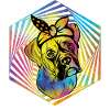 Boxeur