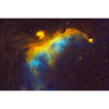 IC 2177 Seagull Nebula
