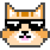 Cat with sunglasses