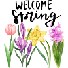 Frühling "Welcome Spring" Design