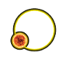 Lunar Eclipse Astronomy Astronomer