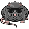 Rat