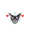 Chihuahua Gifts Chihuahua Owner