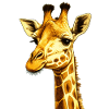 Giraffe Head Gift