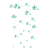 White Rose,N,Roses,Rose,Vine,Flowers,Floral