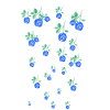 Blue Rose,N,Roses,Rose,Vine,Flowers,Floral