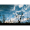 Reflection