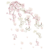 Printemps,vrilles,fleurs,fleurs,fleurs,fleurs,floraison