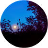 L’échelle vers la lune