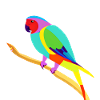 Bird owner Budgerigar Bird Cockatiel
