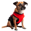 Guide dogs are trained dogs