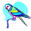 Budgerigar Bird Cockatiel Bird Owner