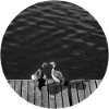Two birds by the river