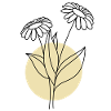 Flower with yellow circle