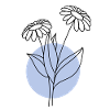 Flower blue circle