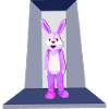 Lapin rose
