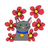 Grey cat with flowers