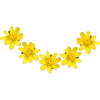 blumen gelb
