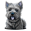 Small West Highland White Terrier