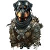 Rottweiler as a soldier