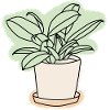 Indoor plant