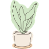 Agave