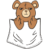 Teddy Bear Middle Finger Evil Read Me Cheeky