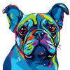 Hund farbig