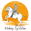 Working Equitation