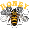Honey Bee on Hex Grid