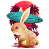 SUMMER RABBIT