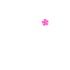 club des mamies cool