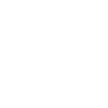 Ant Insect Collector Entomologist