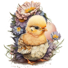 Cute chick