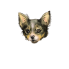 Chihuahua Gifts Chihuahua Owner