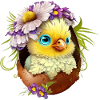 Funny chick