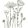 Fleurs séchées