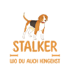 Hund Beagle
