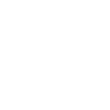 Hund Border Collie