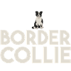 Chien Border Collie