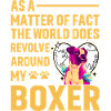 Boxer