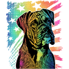 Boxer