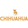 Dog Chihuahua