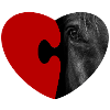 Pferdeliebe