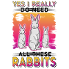 Lapin Cadeau Lapin Lapin Lapin